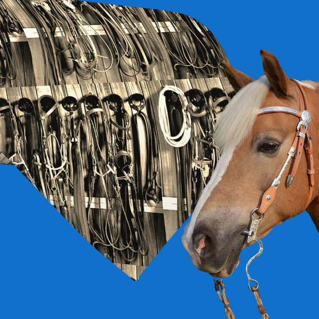 Western Tack Room Bridles Rope Print Necktie 2 (Western necktie with tack room bridles and rope)