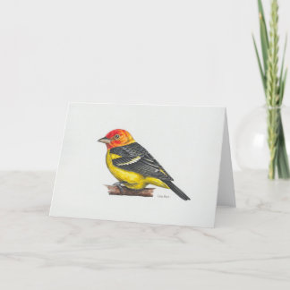 Western Tanager Art Card