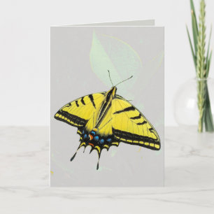 Western Tiger Swallowtail Butterfly & leaf  Card