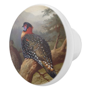 Western tragopan, Bird Illustrations Ceramic Knob