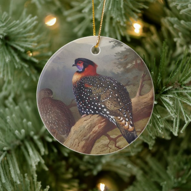Western tragopan, Bird Illustrations Ceramic Tree Decoration (Tree)