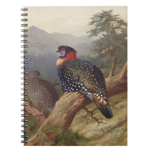 Western tragopan, Bird Illustrations Notebook (Front)