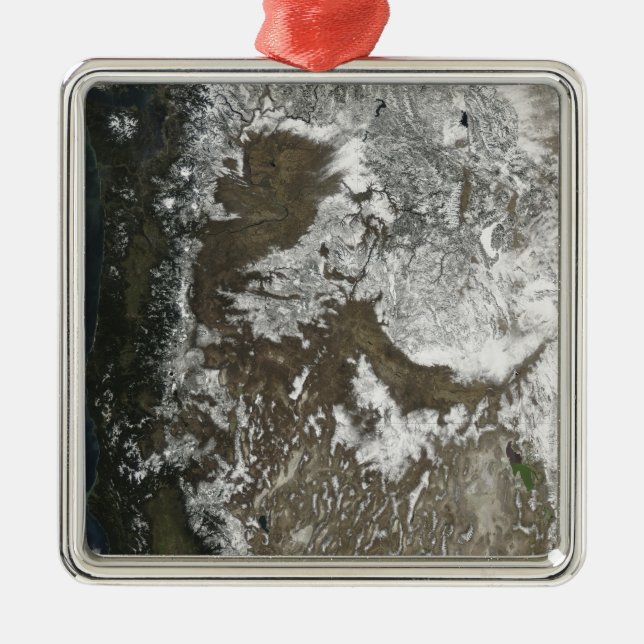 Western United States Metal Tree Decoration (Front)