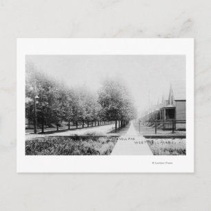 Western View of Parnell Avenue Postcard