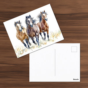 Western Wild & Free Mustang Horses Postcard