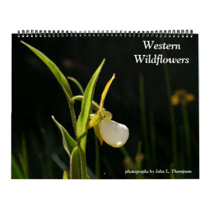 Western Wildflowers 2026 Calendar