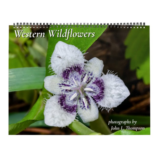 Western Wildflowers Calendar for 2024 (Cover)