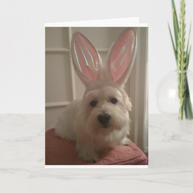 Westhighland Bunny Card (Front)