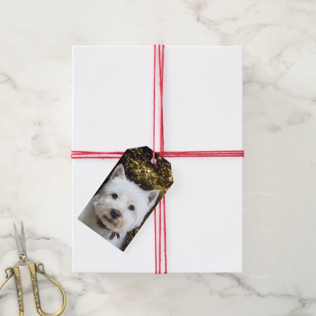 Westie Christmas Gift Tags (With Twine)