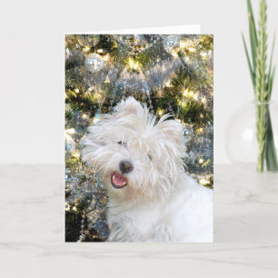 Westie Christmas Holiday Card