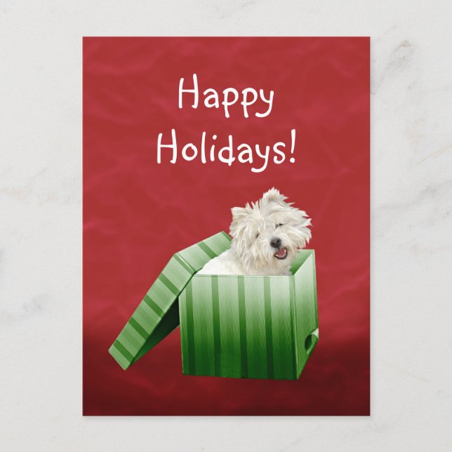 Westie Christmas Holiday Postcard (Front)