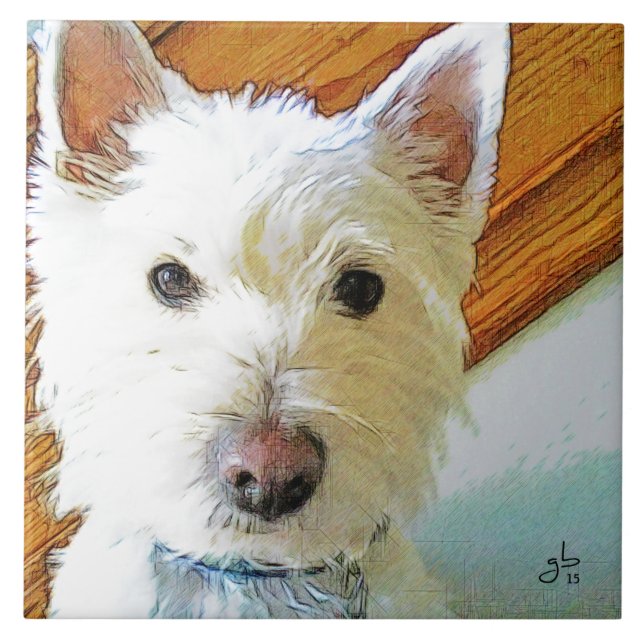 Westie Dog Face, Looking at You Tile (Front)