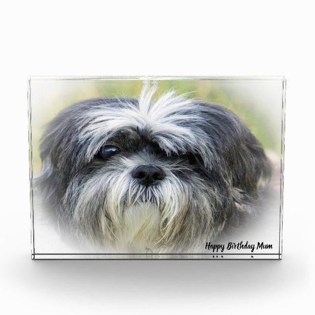 Westie Dog. Photo Block (Front)