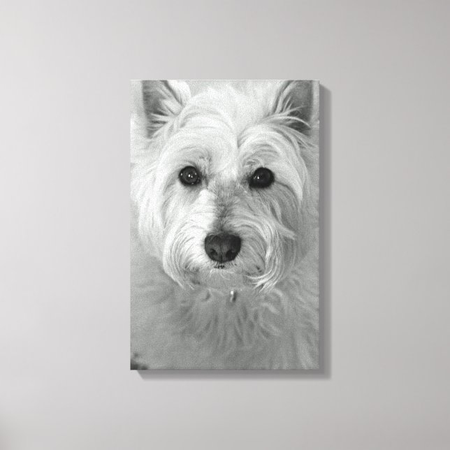 Westie Dog (West Highland White Terrier) Canvas (Front)