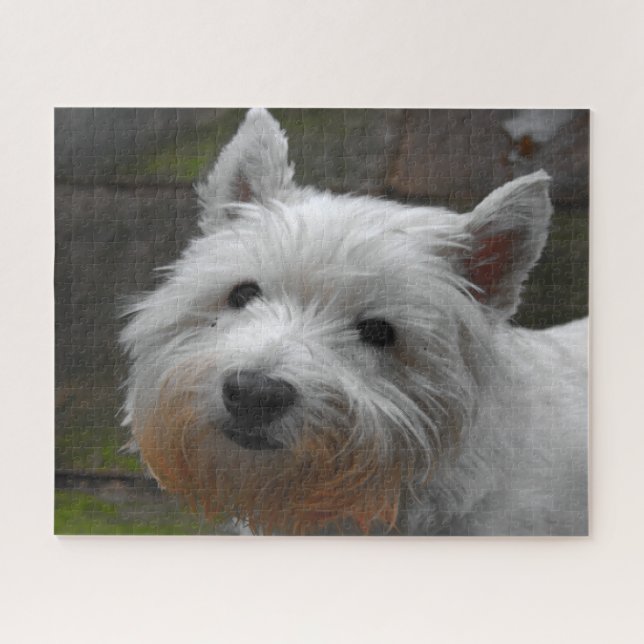 Westie Dogs Jigsaws. Jigsaw Puzzle (Horizontal)