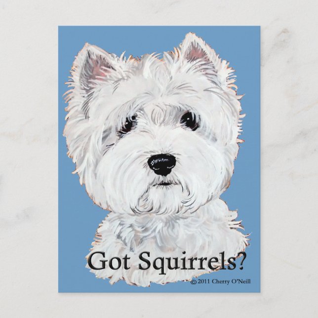 Westie  Got Squirrels? Postcard (Front)