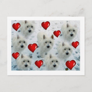 Westie hearts postcard thankyou, birthday, hello e