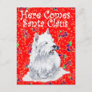 Westie Here Comes Santa Claus Holiday Postcard