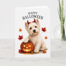 Westie Highland White Devil Dog
