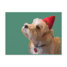 Westie in a Santa hat