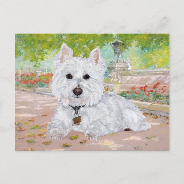 Westie in the Park Postcard (Front)