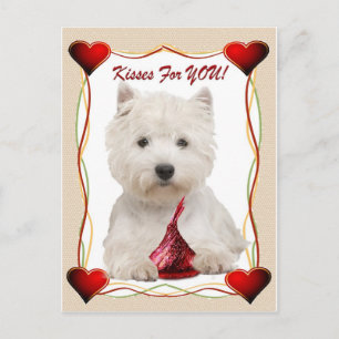 Westie Kisses For You Friendship cards