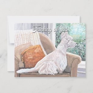 Westie Looking Out a Window Postcard