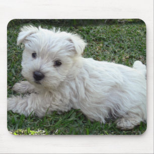 Westie Mouse Pad