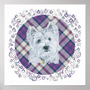 Westie on Tartan Poster