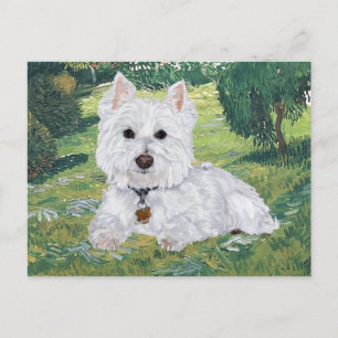 Westie Postcard