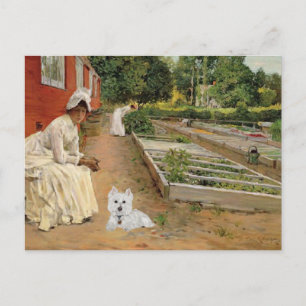 Westie Postcard