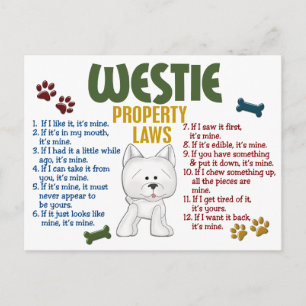 Westie Property Laws 4 Postcard