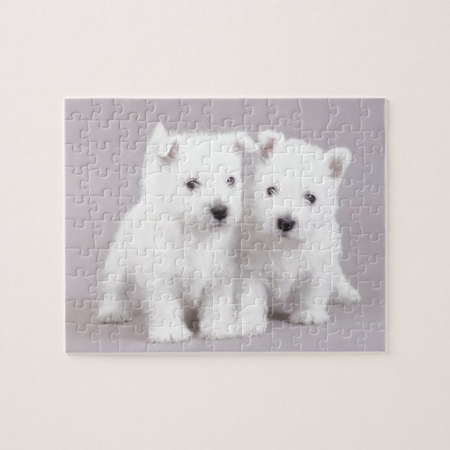 Westie puppies jigsaw puzzle (Horizontal)