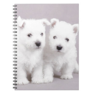 Westie puppies spiral notebook