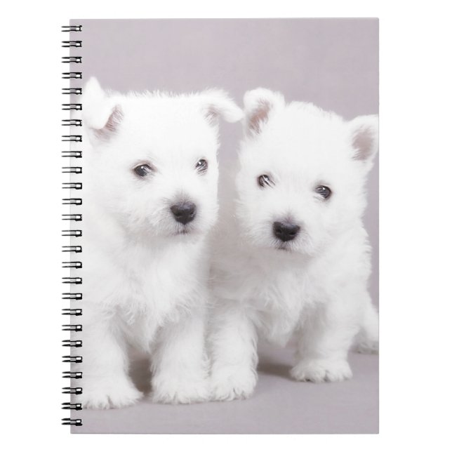 Westie puppies spiral notebook (Front)