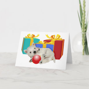 Westie Puppy Christmas Playtime Holiday Card