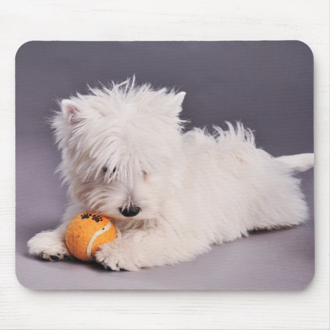 westie puppy mouse pad (Front)