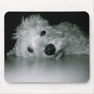 Westie Relaxing Mouse Pad