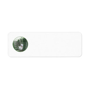 Westie Return Address Label