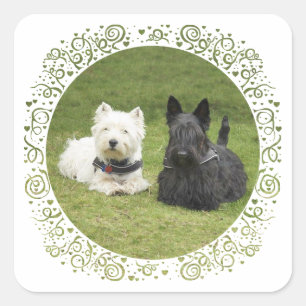 Westie & Scottie Green Grass Square Sticker