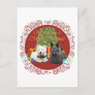 Westie & Scottie Merry Christmas Holiday Postcard