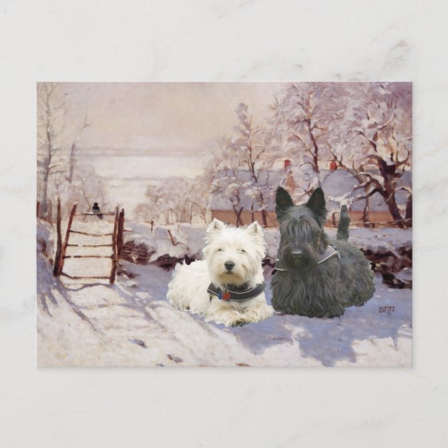 Westie & Scottie Winter Magpie Postcard (Front)