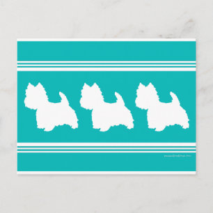Westie Silhouette on Turquoise Postcard