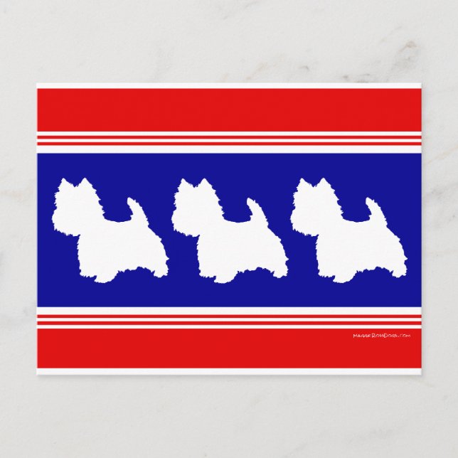 Westie Silhouette Red & Blue Postcard (Front)