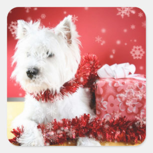 Westie Snowflake Holiday Design Square Sticker