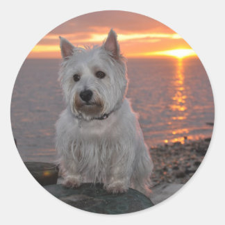 Westie Sunset Classic Round Sticker