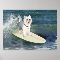 Westie Surfer Poster