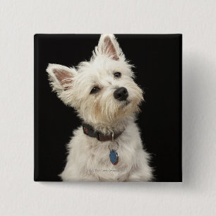 Westie West Highland Terrier 15 Cm Square Badge