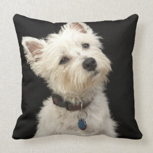 Westie (West Highland terrier) with collar Cushion