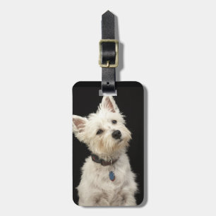 Westie (West Highland terrier) with collar Luggage Tag